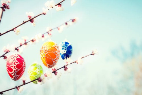 colorful easter eggs hanging from a blossoming apple tree - garden decoration stock pictures, royalty-free photos & images