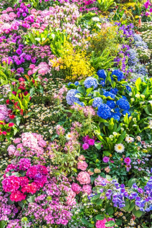 colorful flowers - garden decoration stock pictures, royalty-free photos & images