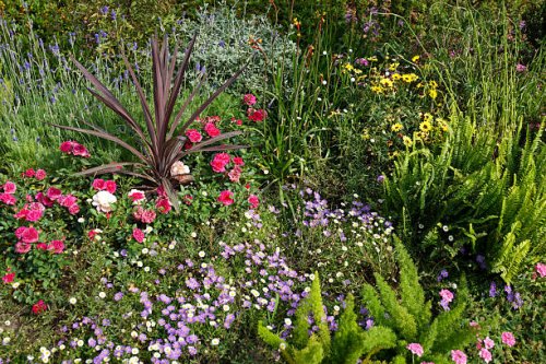 colorful mixed herbaceous garden scene - garden decoration stock pictures, royalty-free photos & images