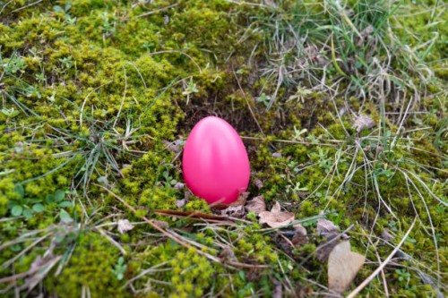colourful purple easter egg on the moss in the forest. - garden decoration stock pictures, royalty-free photos & images