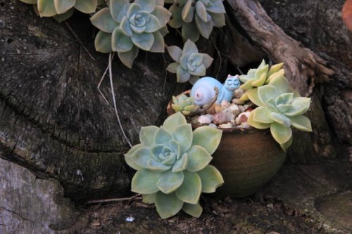 colourful snail in a pot by charissa lotter (de scande) - garden decoration stock pictures, royalty-free photos & images