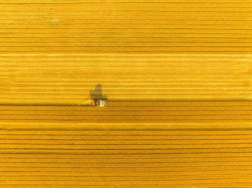 combine harvester harvesting wheat in agricultural field - food stock pictures, royalty-free photos & images