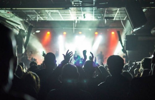 concert crowd at live music festival - concert stock pictures, royalty-free photos & images