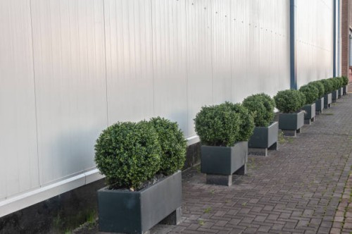 concrete planters filled with small green trees - garden decoration stock pictures, royalty-free photos & images