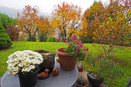 corner of back garden tabletop with flower pots - garden decoration photos et images de collection