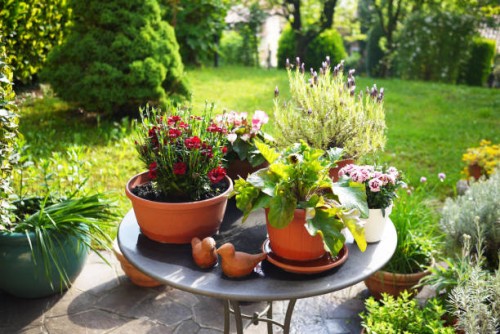 corner of springtime back garden with flower pots - garden decoration stockfoto's en -beelden