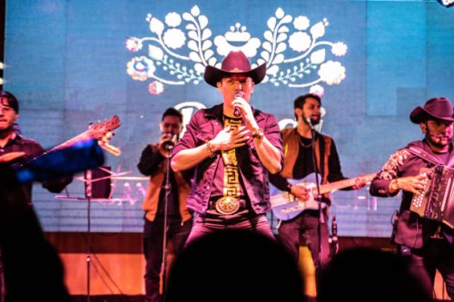 country band playing in a music concert - concert stock pictures, royalty-free photos & images