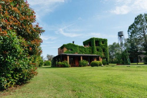 country house in argentina - garden decoration stock pictures, royalty-free photos & images