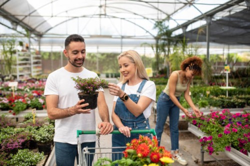 couple buy pots and plants in a greenhouse very happy, choosing plants and flower - garden decoration stock pictures, royalty-free photos & images