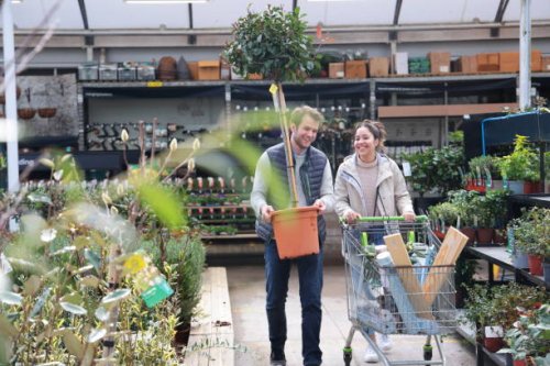 couple shopping at garden centre - home decoration stock pictures, royalty-free photos & images