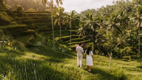 couple visiting a rice field in bali - travel photos et images de collection