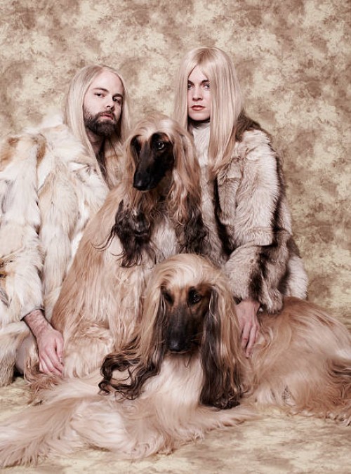 couple with long blond hair sitting with two afgan hounds in studio, portrait - fashion stock pictures, royalty-free photos & images