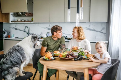 cozy family lunch: middle-aged parents, daughter, and their australian shepherd enjoy a meal together in their warm kitchen. - junk food stock pictures, royalty-free photos & images