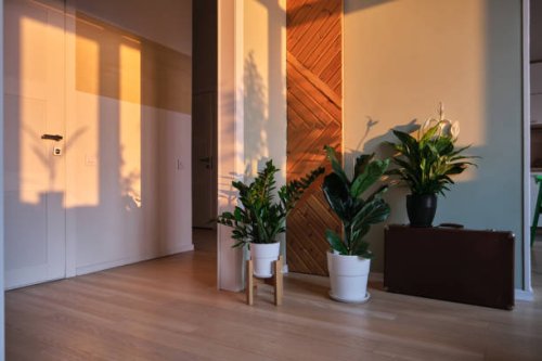 cozy home interior with home plants in the rays of the dawn sun. - garden decoration stock pictures, royalty-free photos & images