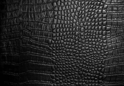 crocodile leather texture closeup background - fashion stock pictures, royalty-free photos & images