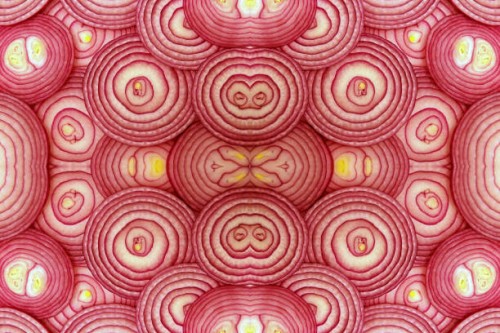cross sections of a red onion stacked and manipulated to create duplicates - food stockfoto's en -beelden