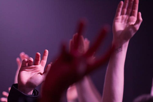 crowd - concert stock pictures, royalty-free photos & images