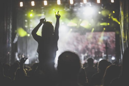 crowd at rock music concert - concert stock pictures, royalty-free photos & images