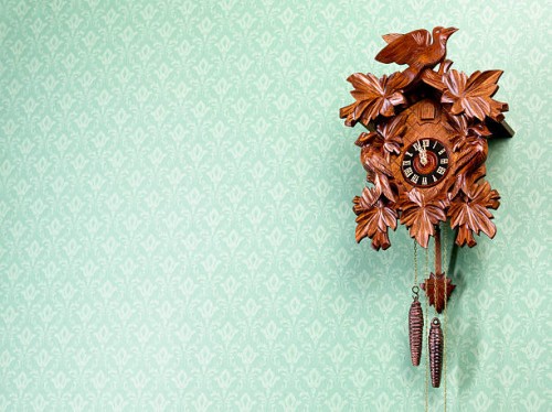 cuckoo-clock against wallpapered wall - home decoration stock pictures, royalty-free photos & images