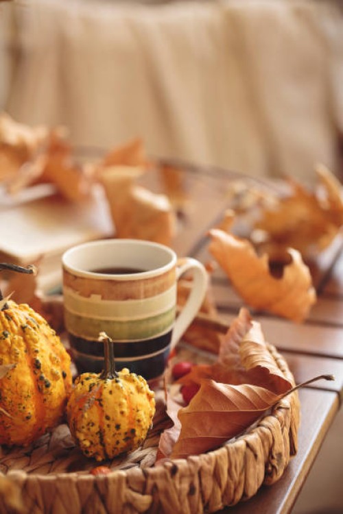 cup of coffee on wooden table with pumpkins and dried leaves outdoor - garden decoration stock pictures, royalty-free photos & images