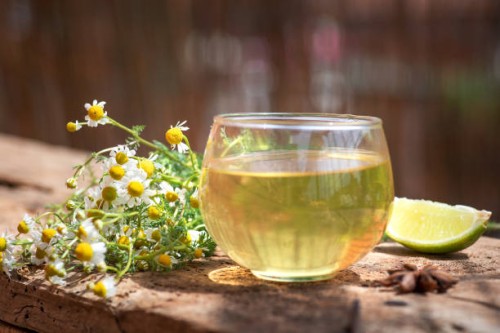 cup of tea with chamomile flower - garden decoration stock pictures, royalty-free photos & images