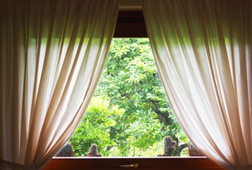 curtained window with view on garden - garden decoration stock pictures, royalty-free photos & images