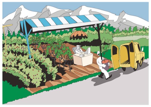 customer buying a potted plant from a gardener's garden - garden decoration stock illustrations