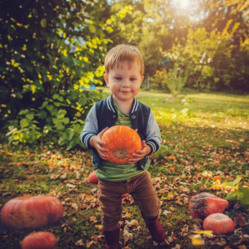cute boy with pumpkins in autumn - garden decoration stock pictures, royalty-free photos & images