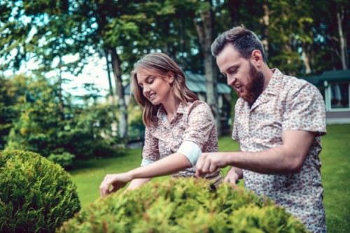 cute couple trimming hedges in backyard - garden decoration stock pictures, royalty-free photos & images
