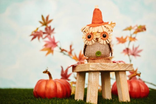 cute fall arrangement with owl and pumpkins in bright setting for thanksgiving - home decoration stockfoto's en -beelden