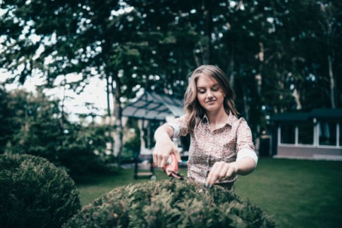 cute female cutting hedge in backyard - garden decoration stock pictures, royalty-free photos & images