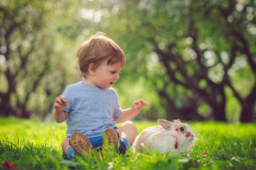 cute little boy playing with bunny on easter egg hunt - garden decoration stock pictures, royalty-free photos & images