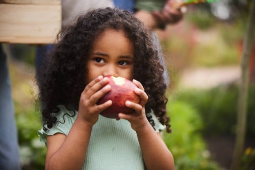 cute little girl eating an apple outside in her family's garden - food stock pictures, royalty-free photos & images