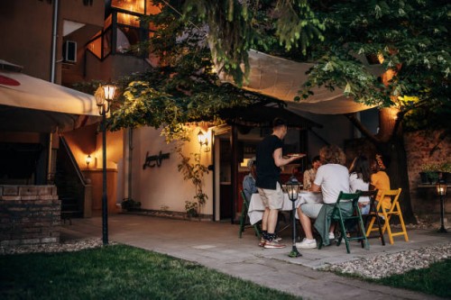 dîner dans la cour arrière - garden decoration photos et images de collection