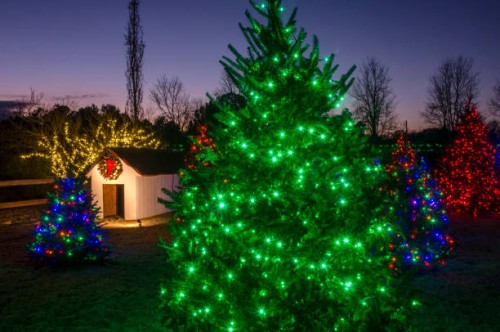 daniel stowe botanical garden during holidays at the garden - garden decoration stock pictures, royalty-free photos & images
