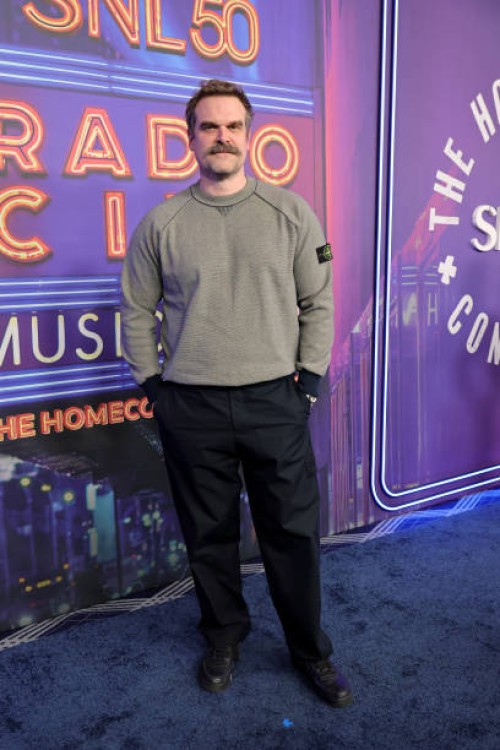 David Harbour attends SNL50: The Homecoming Concert at Radio City Music Hall on February 14, 2025 in New York City.