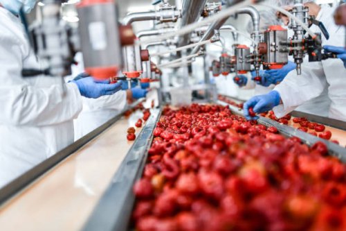 de-seeding process of cherry peppers in food processing plant - food stock pictures, royalty-free photos & images