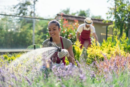 de plantenbakken die van de familie bij het tuincentrum werken - garden decoration stockfoto's en -beelden