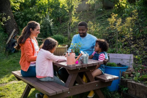 de quelle plante s’agit-il? - garden decoration photos et images de collection