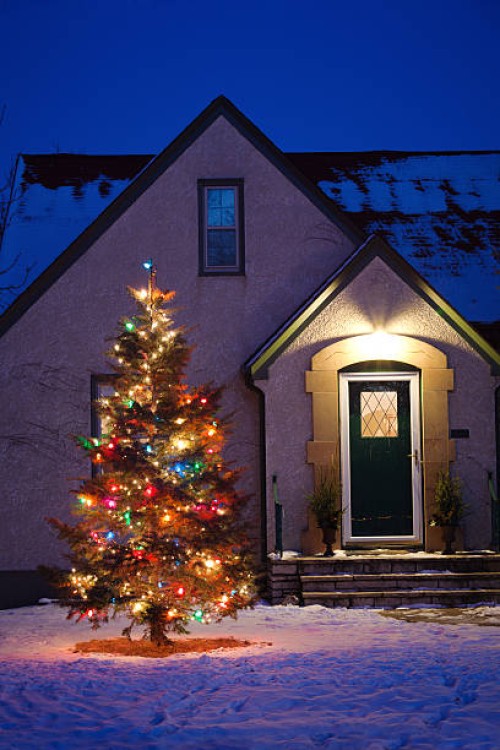 decorated outdoor christmas tree in front of house vt - garden decoration stock pictures, royalty-free photos & images