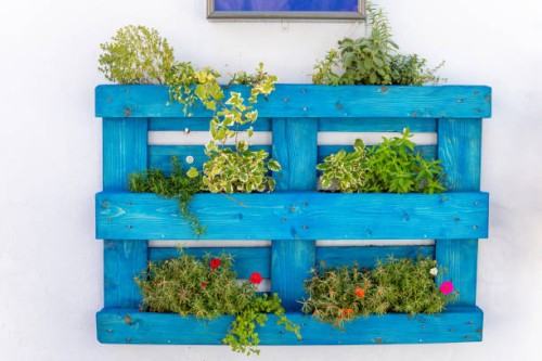 decorative blue wooden boxes with flowers on a white wall close-up baska, croatia - garden decoration stock pictures, royalty-free photos & images