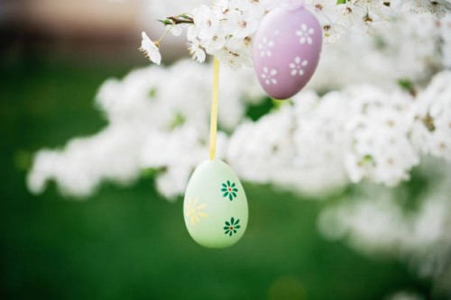 decorative easter egg hanging on flowering tree. easter background. family celebration, christian traditions. holiday greeting card template. - garden decoration stock pictures, royalty-free photos & images