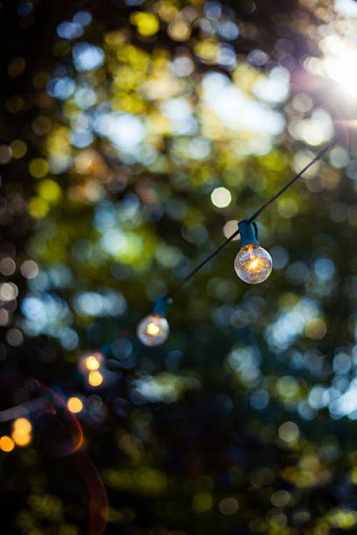 decorative party lights in garden - garden decoration stock pictures, royalty-free photos & images