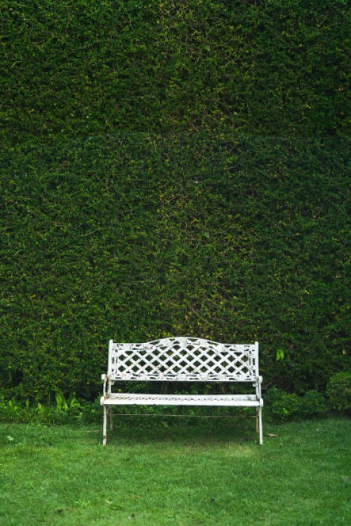 depression-sadness loss and loneliness concept. - garden decoration stock pictures, royalty-free photos & images