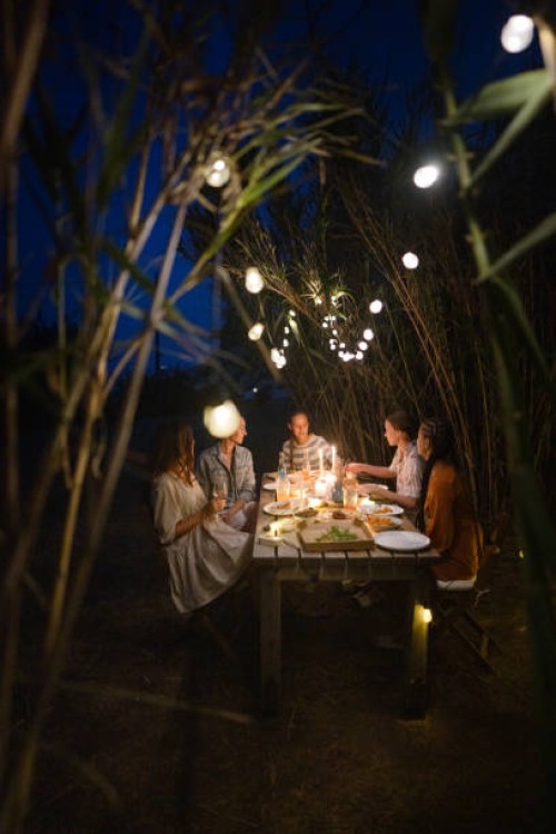 des nuits d’été magiques avec mes filles - garden decoration photos et images de collection