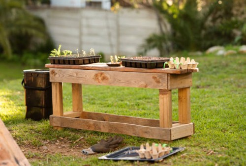 dessus de carotte dans des plateaux s’asseyant dehors sur un banc - garden decoration photos et images de collection