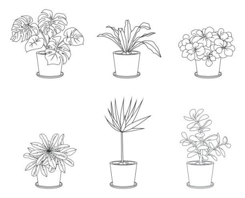 different houseplants in flower pots on white background - garden decoration stock illustrations