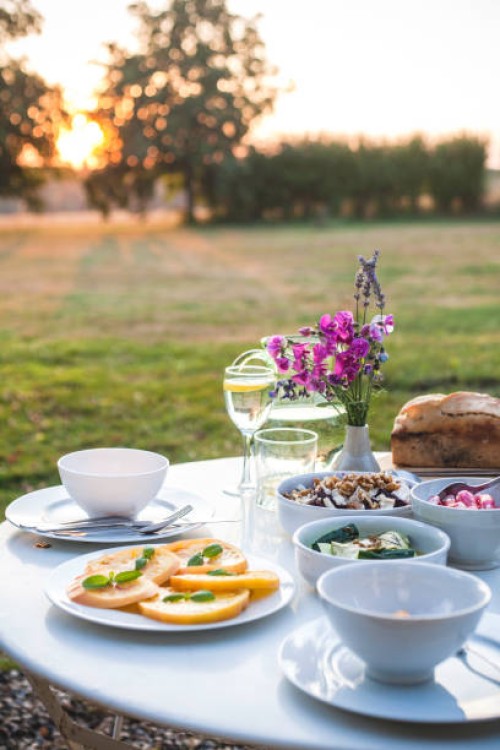 dinner at sunset, loire valley - garden decoration photos et images de collection