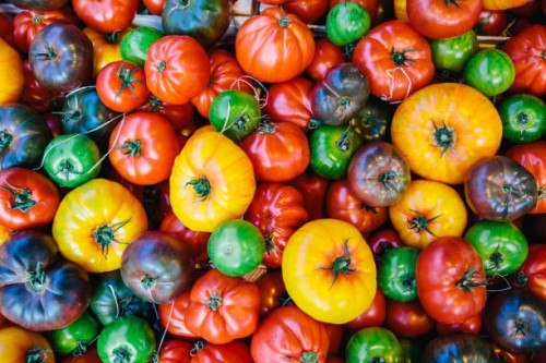 directly above view of multicolored tomatoes on the market stall at farmer's market - food stock pictures, royalty-free photos & images