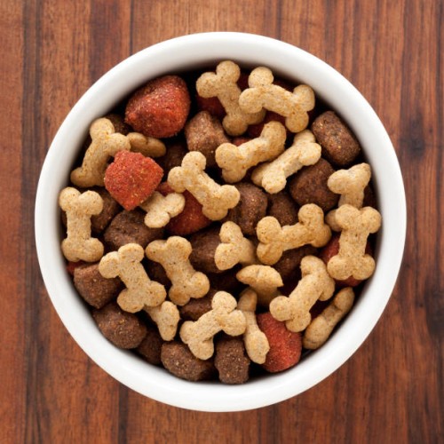 dog food - food stock pictures, royalty-free photos & images